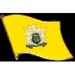 NEW JERSEY PIN STATE FLAG PIN